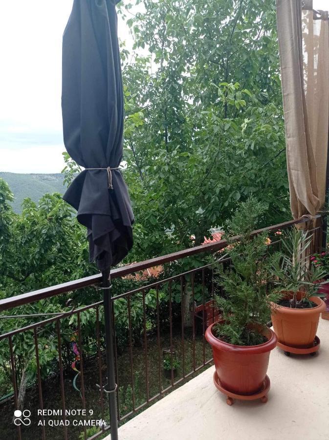 Άγρια Λούλουδα Κατοικία Αρμονία Timfrisztósz Kültér fotó