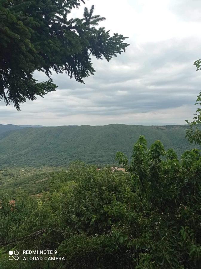 Άγρια Λούλουδα Κατοικία Αρμονία Timfrisztósz Kültér fotó