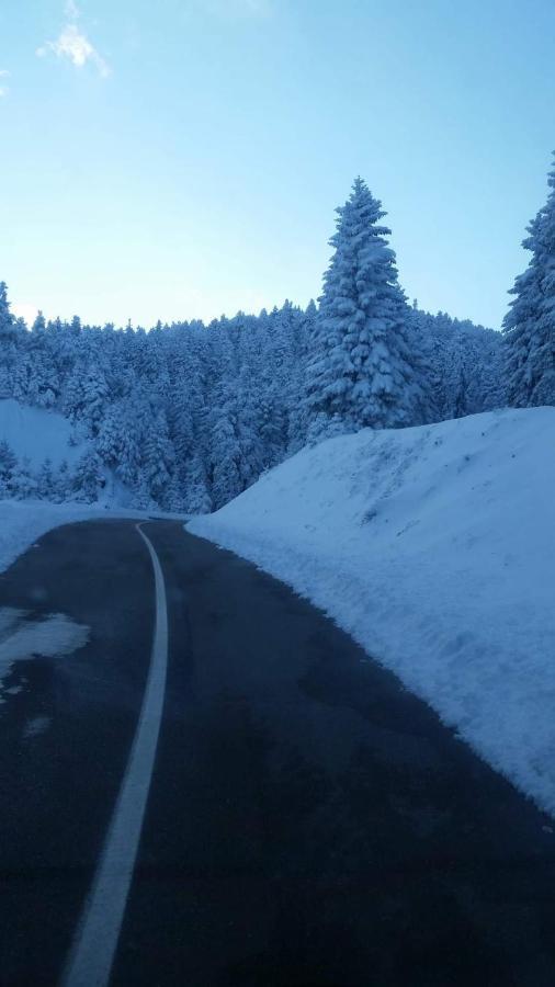 Άγρια Λούλουδα Κατοικία Αρμονία Timfrisztósz Kültér fotó