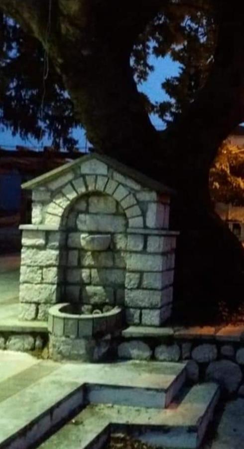 Άγρια Λούλουδα Κατοικία Αρμονία Timfrisztósz Kültér fotó