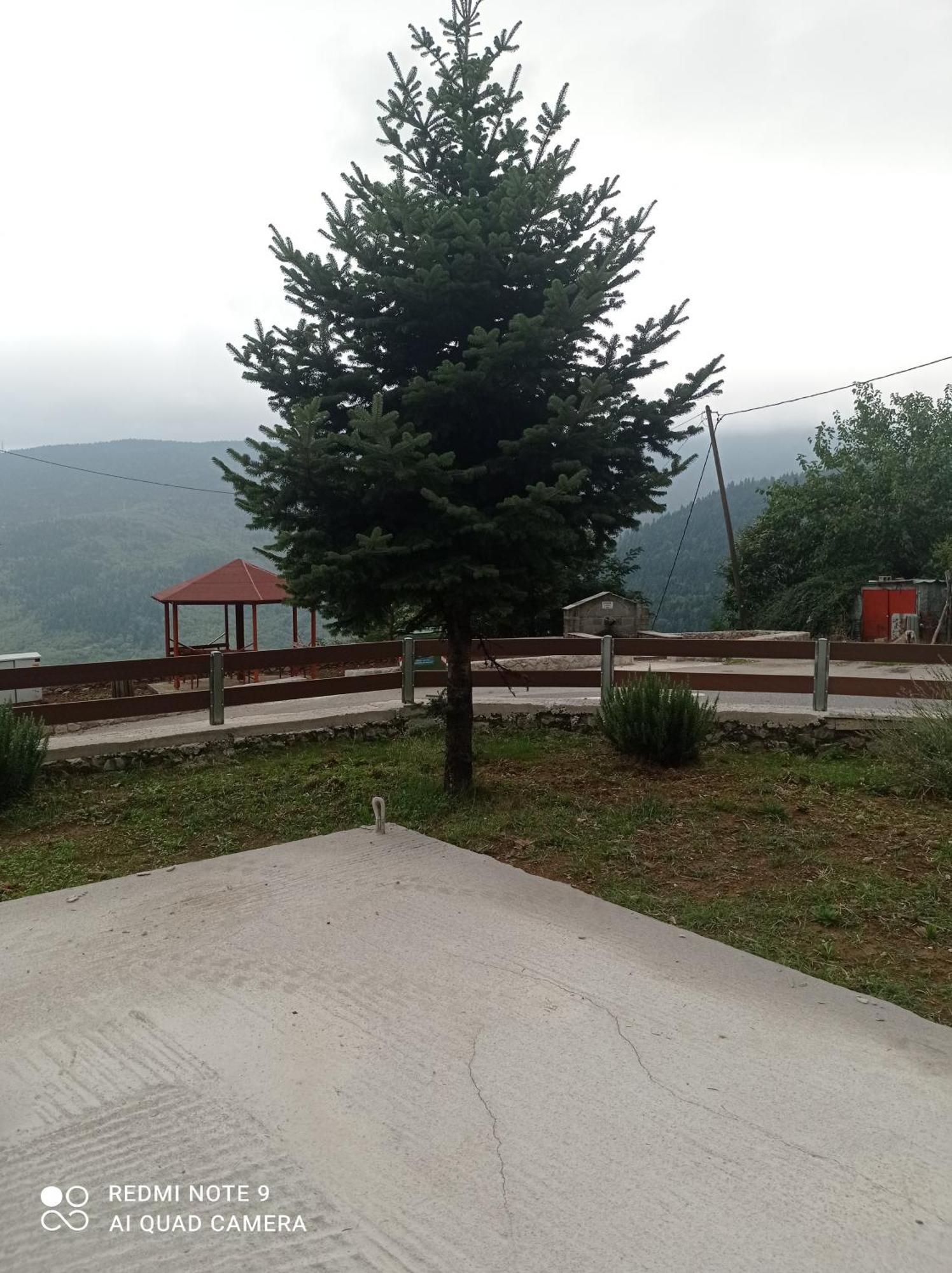 Άγρια Λούλουδα Κατοικία Αρμονία Timfrisztósz Kültér fotó
