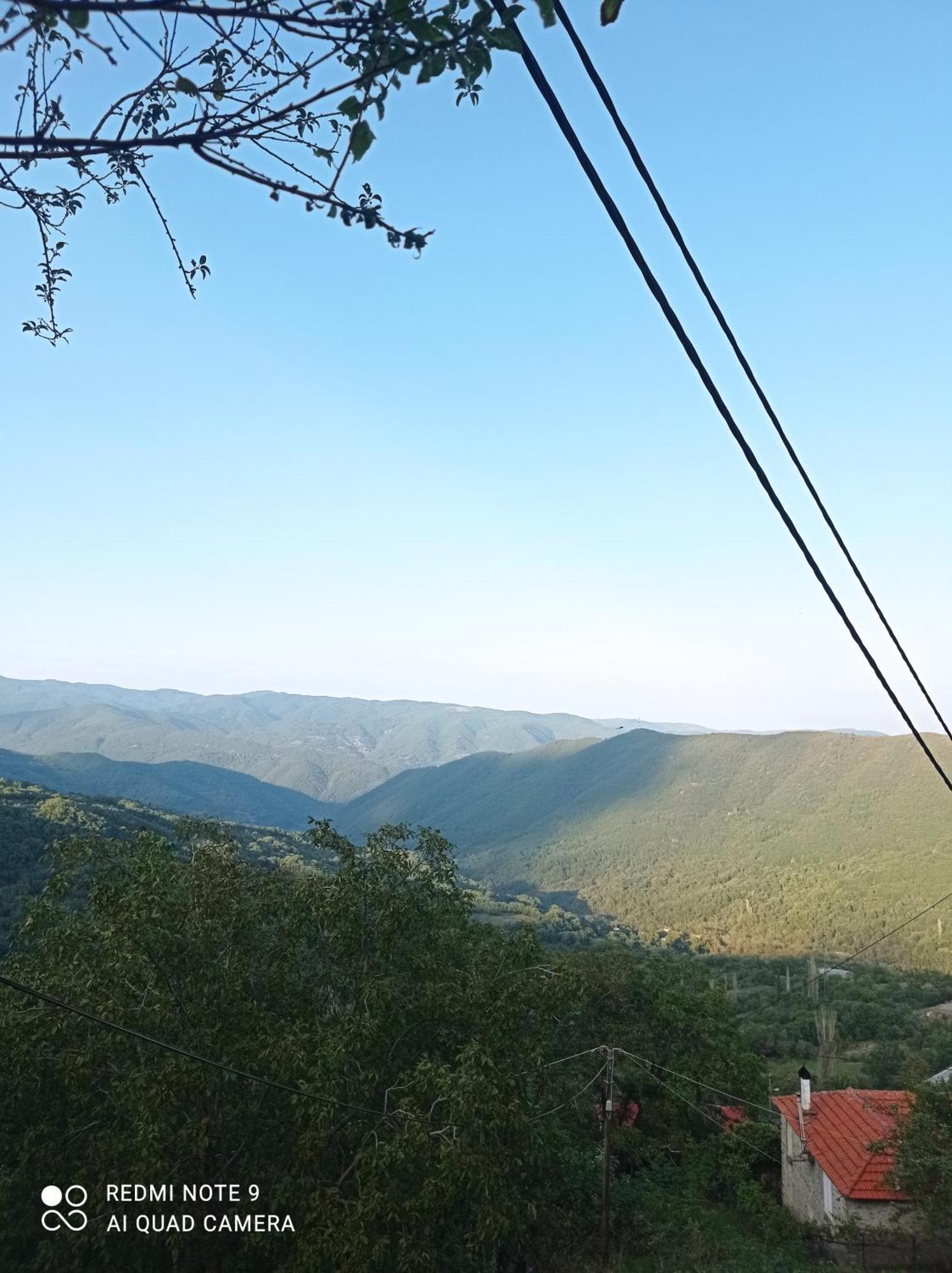Άγρια Λούλουδα Κατοικία Αρμονία Timfrisztósz Kültér fotó